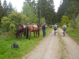 Eine gefährliche Begegnung im tiefen Wald.